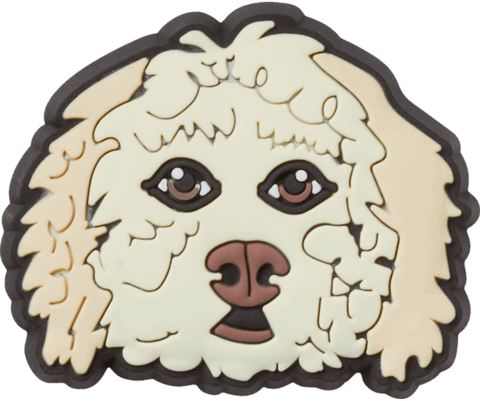 Doodle Dourado De Crocs
