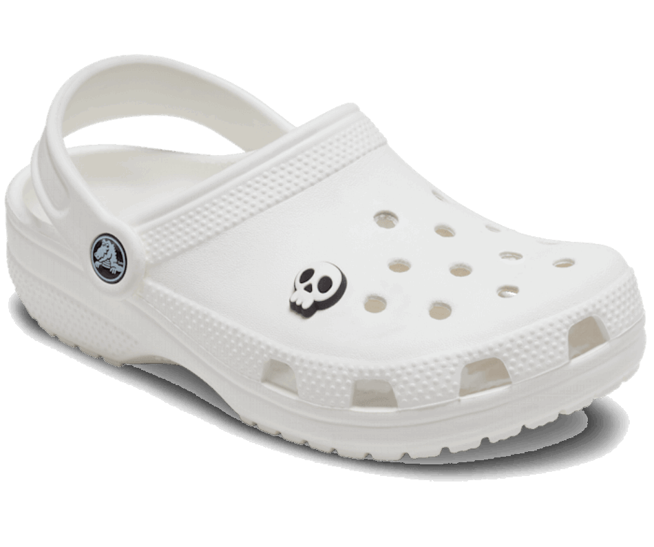 Crânio De Crocodilo