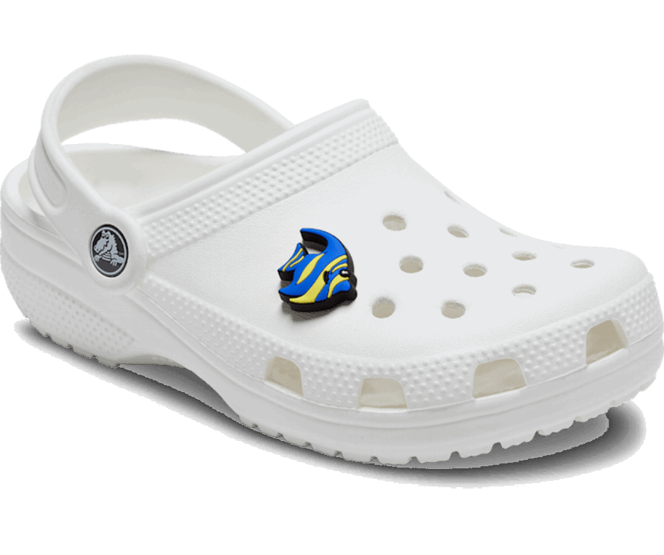 Peixe Crocs Blue Tang