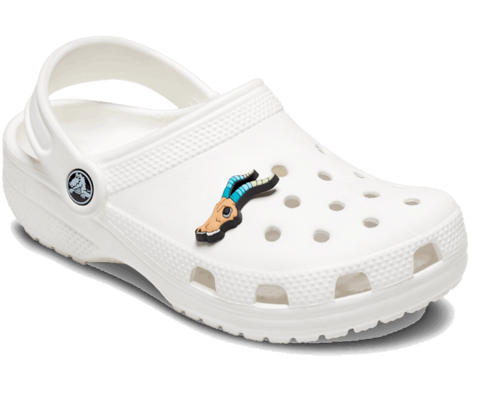 Crânio De Animais Crocs